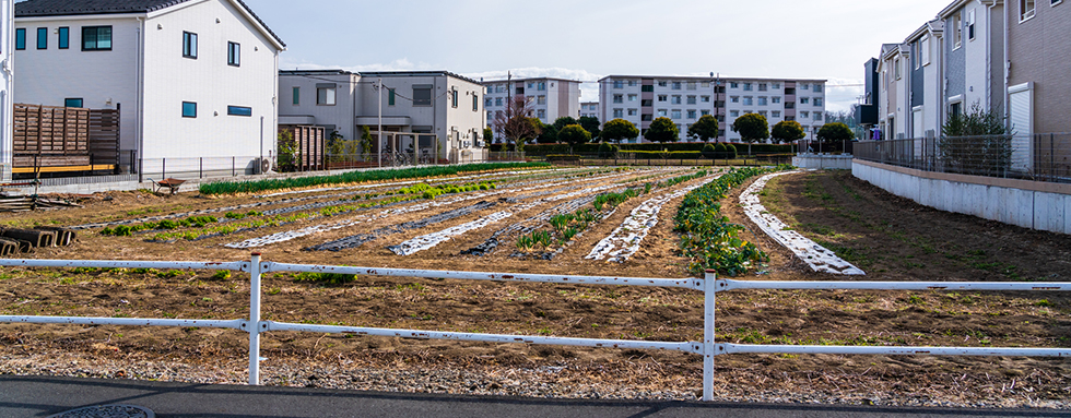 【熊本市編】取り扱いが難しい相続不動産でも売却に成功した事例